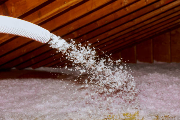 Best Geographic-Specific Insulation Services in Collierville, CA