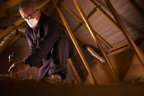 Best Eco-Friendly Insulation in Collierville, CA