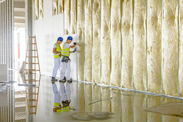 Best Residential Insulation in Collierville, CA